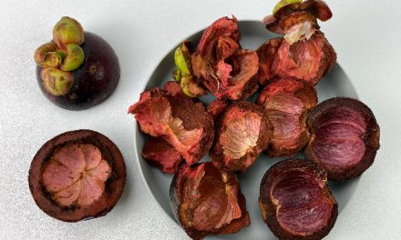 Manfaat Dari Kulit Manggis Untuk Kecantikan Dan Juga Kesehatan