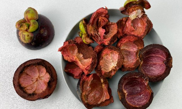 Manfaat Dari Kulit Manggis Untuk Kecantikan Dan Juga Kesehatan