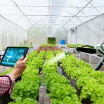 Inovasi Teknologi Pertanian Untuk Meningkatkan Produksi Pangan