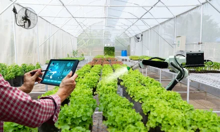 Inovasi Teknologi Pertanian Untuk Meningkatkan Produksi Pangan