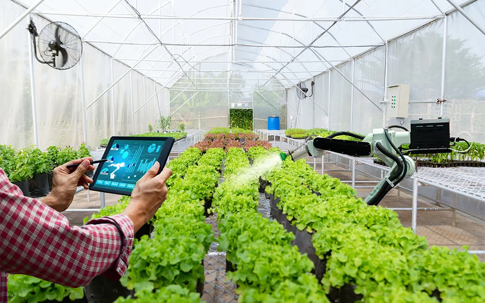 Inovasi Teknologi Pertanian Untuk Meningkatkan Produksi Pangan